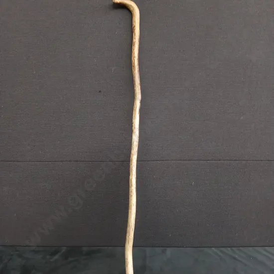 WALKING STICK