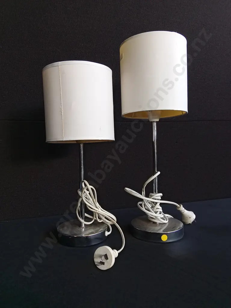 PAIR OF LAMPS WORKING Image 1++