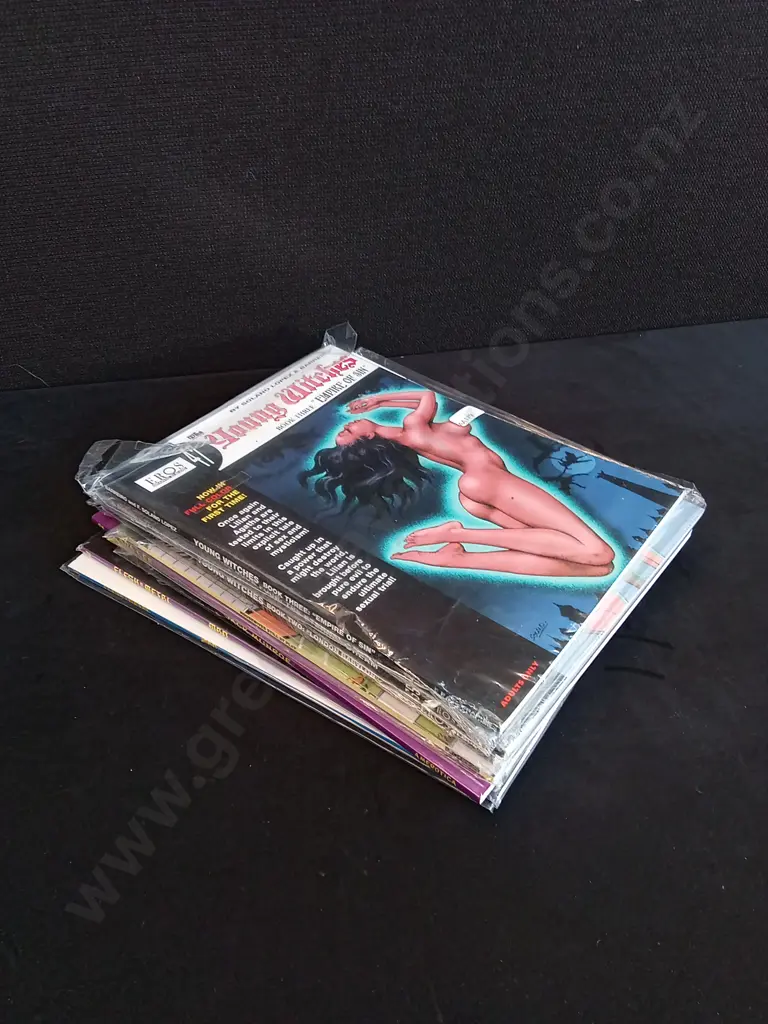 STACK OF ILLUSTRATED EROTICA COMICS/MAGAZINES Image 1++