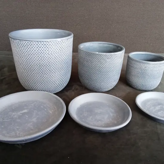 3 BLUE POT PLANTS WITH BASES