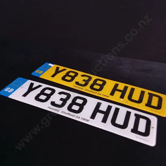 2 LICENSE PLATES