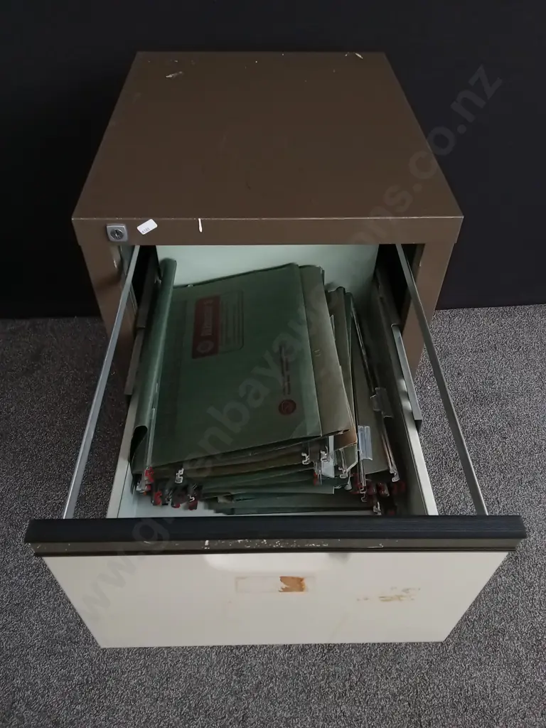 VINTAGE FILLING CABINET H 1.01 M X W 50 CM X D 61 CM Image 1++