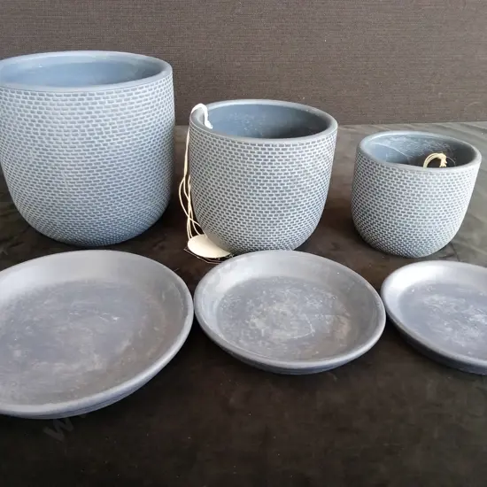 3 BLUE POT PLANTS WITH BASES