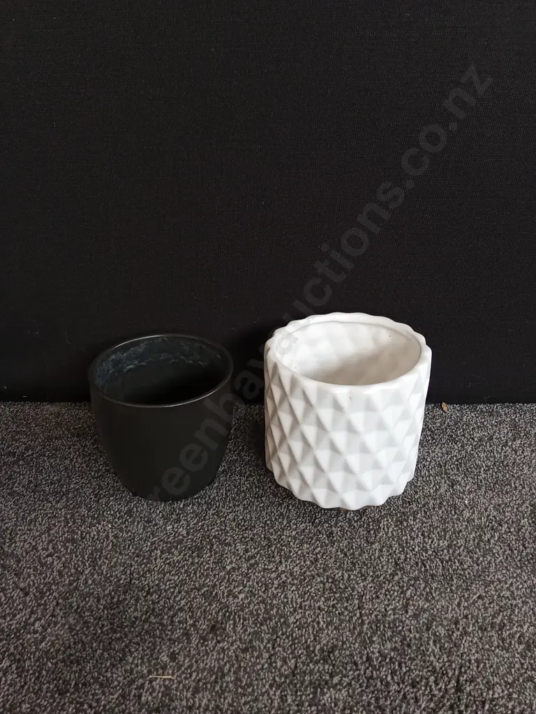 2 PIECES PLANT POTS Image 1++