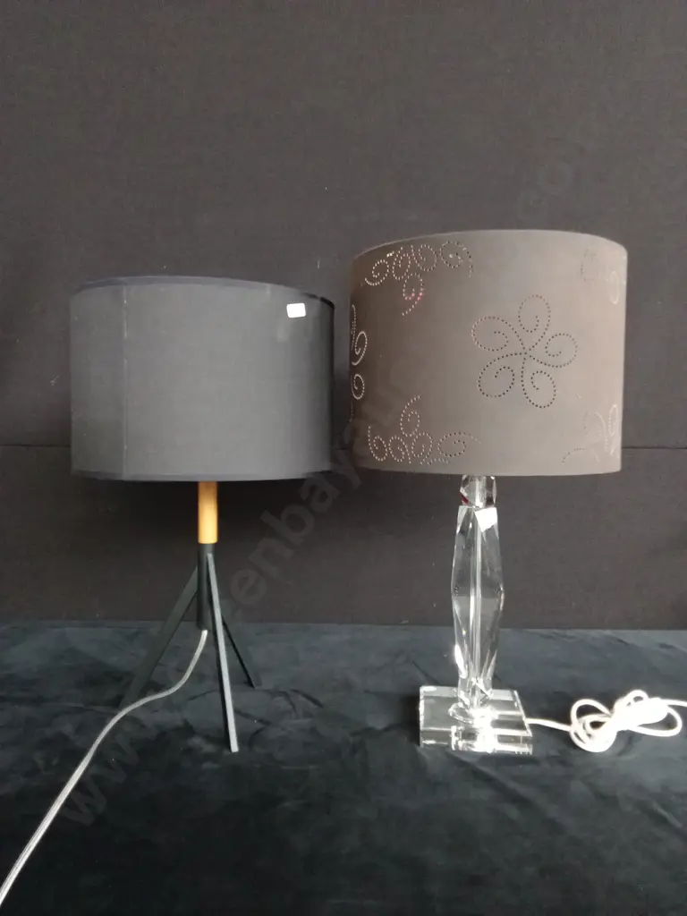 2 LAMPS TESTED WORKING Image 1++
