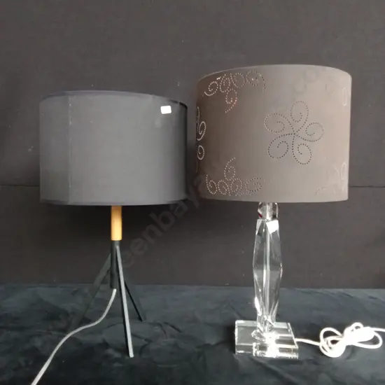 2 LAMPS TESTED WORKING