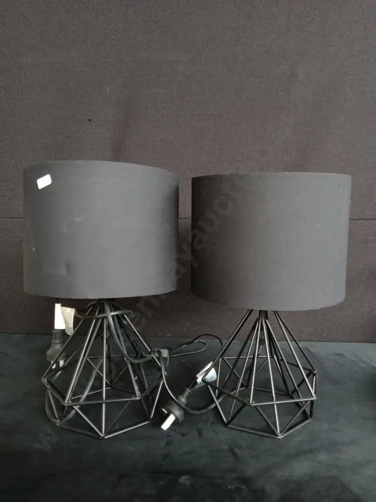 2 MATCHING LAMPS TESTED WORKING Image 1++