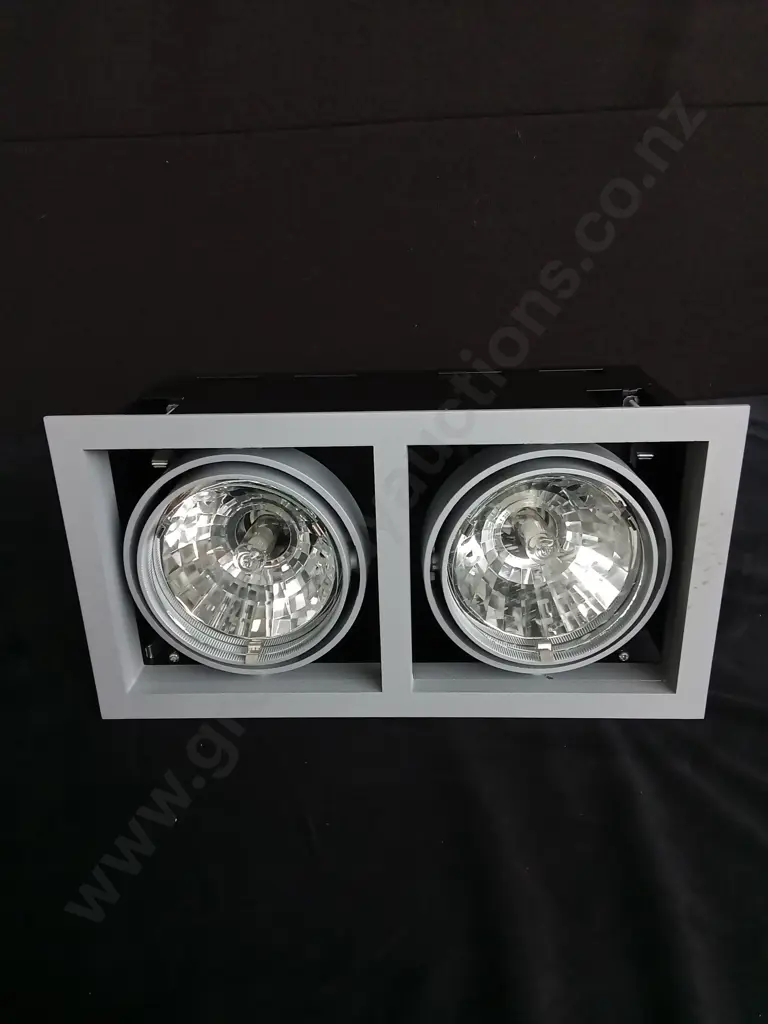 DOUBLE FRAME SPOTLIGHT FIXTURE Image 1++