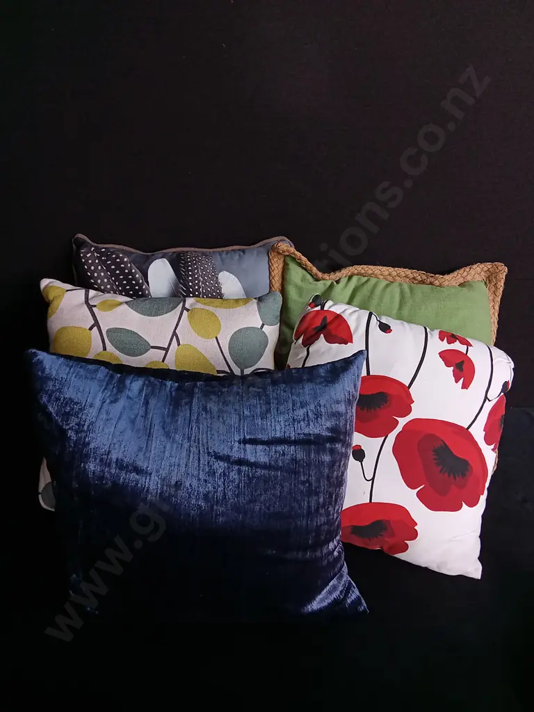 5 CUSHIONS Image 1++