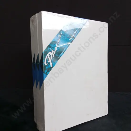 SET OF 3 PHOENIX E5309 ARTIST CANVAS
