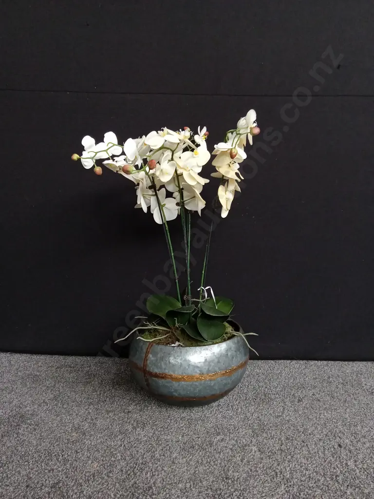 LARGE POTTED ARTIFICIAL ORCHID PLANT Image 1++