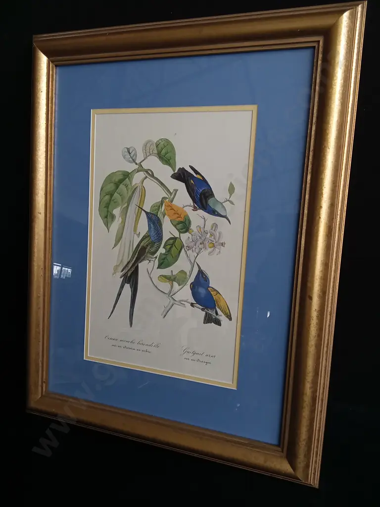 FRAMED ARTWORK "HUMMINGBIRD ON ORANGE TREE" Image 1++