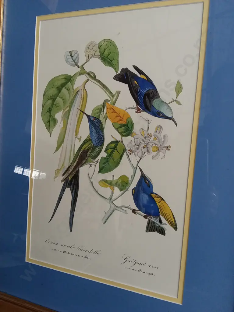FRAMED ARTWORK "HUMMINGBIRD ON ORANGE TREE" Image 1++