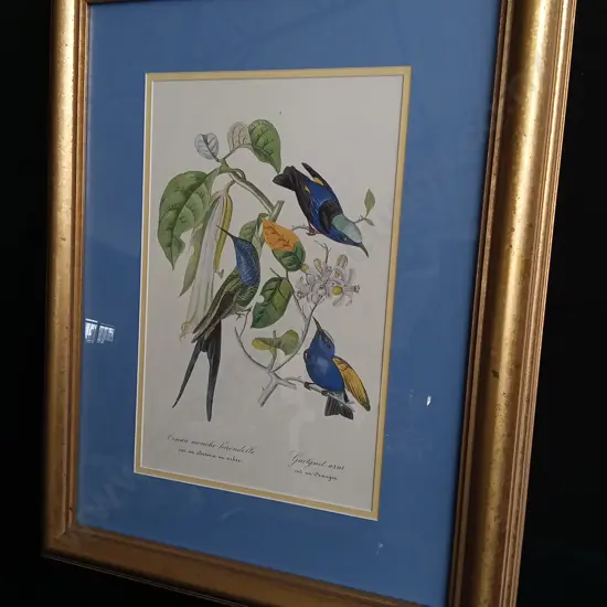 FRAMED ARTWORK "HUMMINGBIRD ON ORANGE TREE"