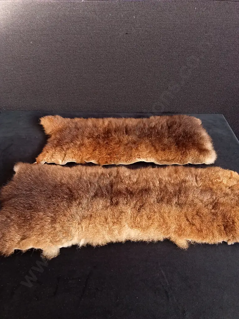 2 GENUINE FUR PELTS Image 1++