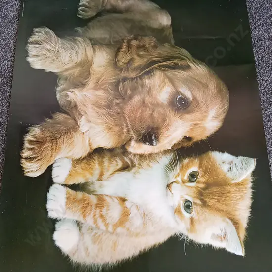 6 COLLECTION OF VINTAGE POSTERS ONE IN EACH PHOTOGRAPH