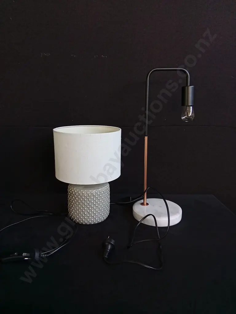 2 TABLE LAMPS WORKING Image 1++