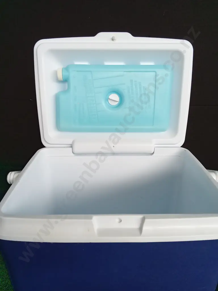 RUBBERMAID COOLER H33CM Image 1++