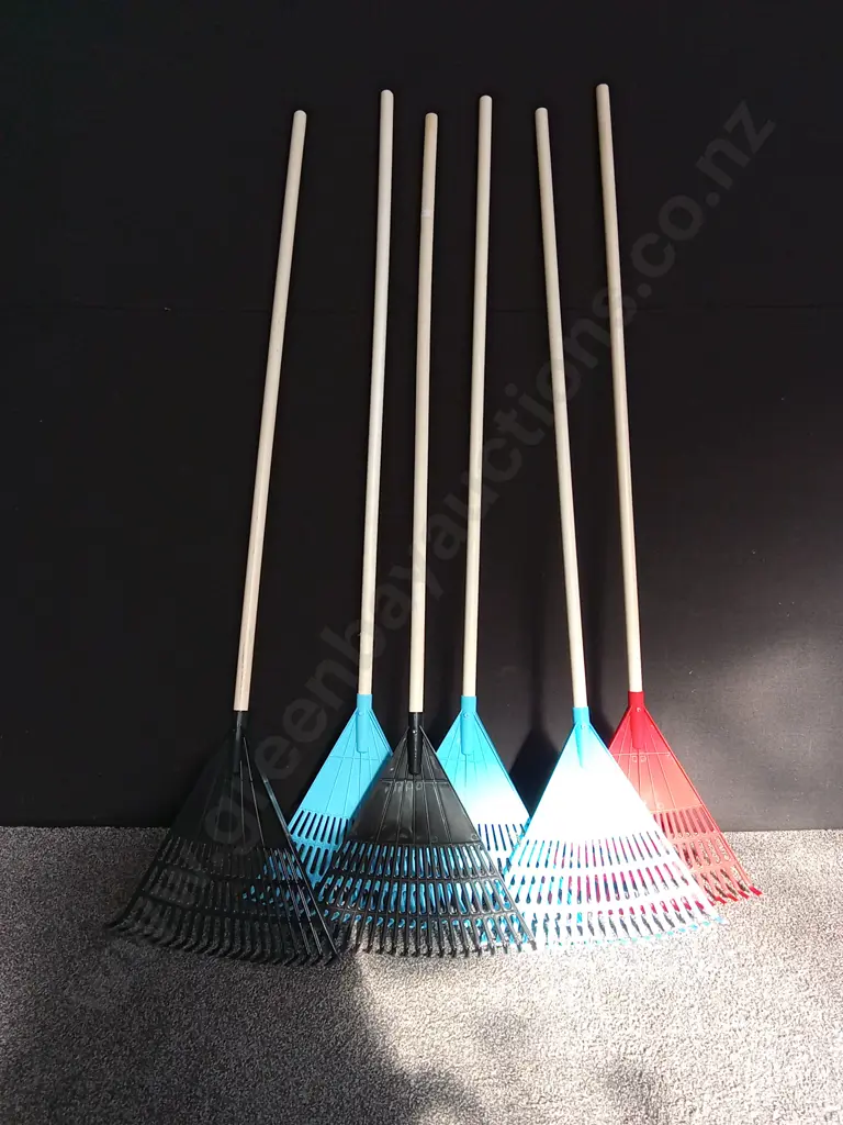 6 BRAND NEW RAKES Image 1++