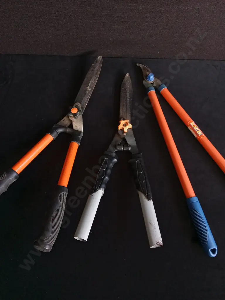 3 PIECES GARDEN TOOLS Image 1++