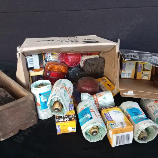 BOX OF LIGHTS AND OTHER ITEMS