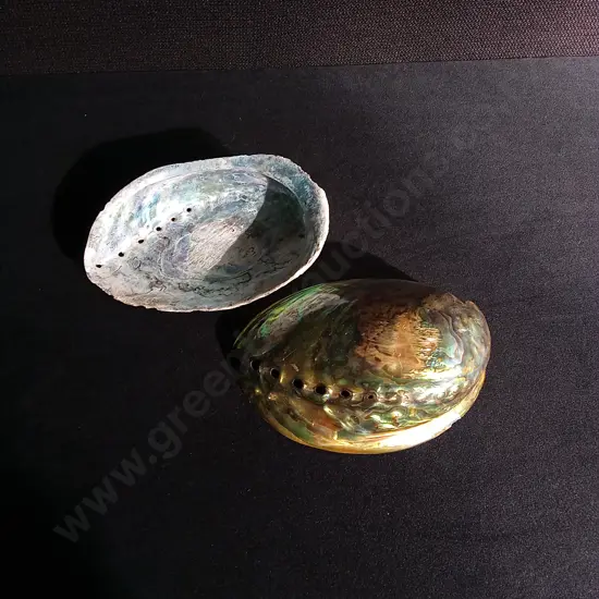 2 PAUA SHELLS