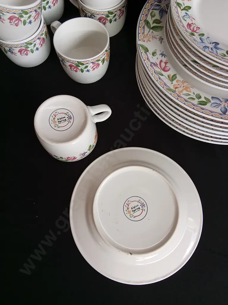 30 PIECE ALPINE SPRING DINNERWARE SET Image 1++