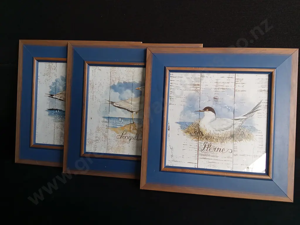 TRIO OF FRAMED PASCAL CESSOU BIRD PRINTS Image 1++