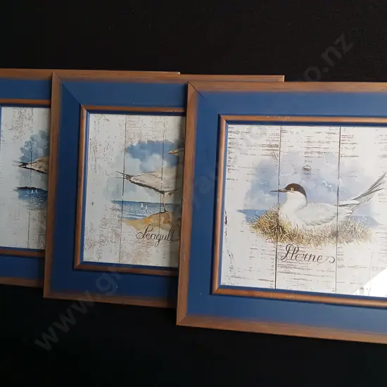TRIO OF FRAMED PASCAL CESSOU BIRD PRINTS