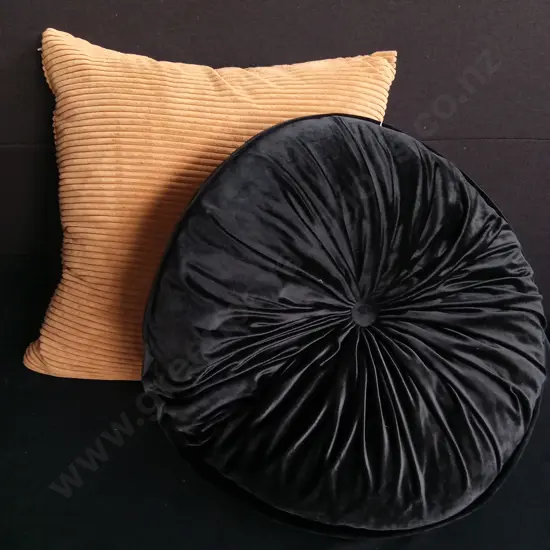 2 LARGE THROW CUSHIONS