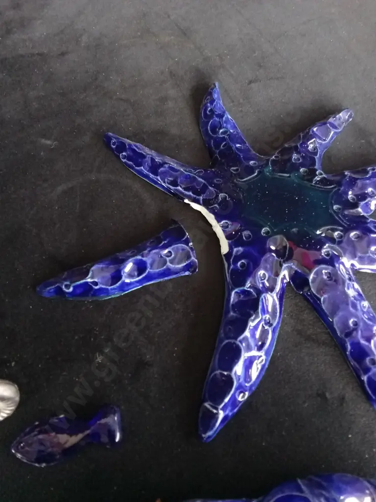 6 DECORATIVE OCEAN ITEMS - STARFISH ARM BROKEN, BUT PART IS INCLUDED Image 1++