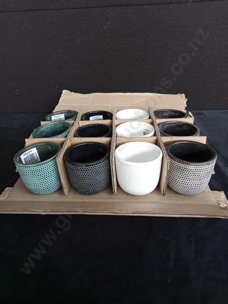 12 SMALL PLANT POTS Image 1++