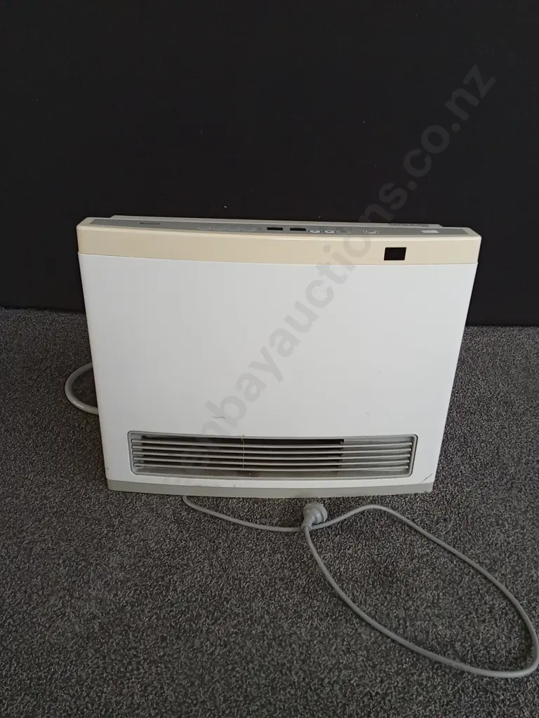 RINNAI CONVECTOR HEATER WORKING Image 1++