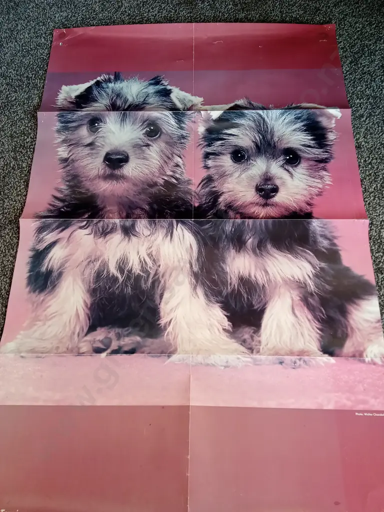 6 COLLECTION OF VINTAGE POSTERS ONE IN EACH PHOTOGRAPH Image 1++
