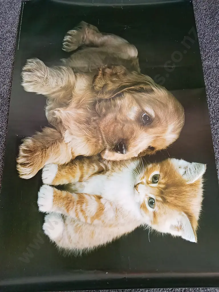6 COLLECTION OF VINTAGE POSTERS ONE IN EACH PHOTOGRAPH Image 1++