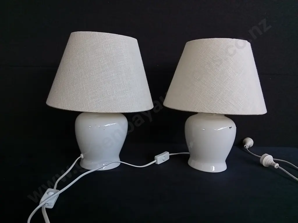 PAIR OF LAMPS WORKING Image 1++