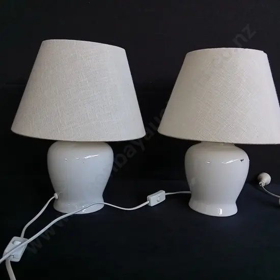 PAIR OF LAMPS WORKING