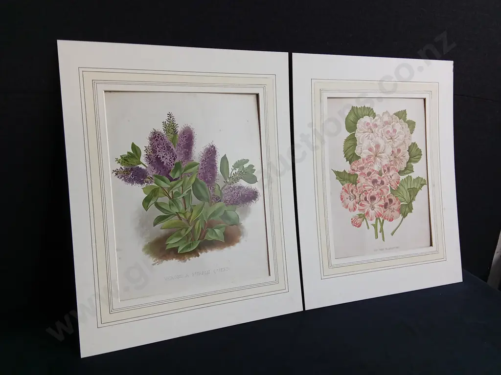 PAIR OF VINTAGE BOTANICAL PRINTS, LILACS AND GERANIUMS Image 1++