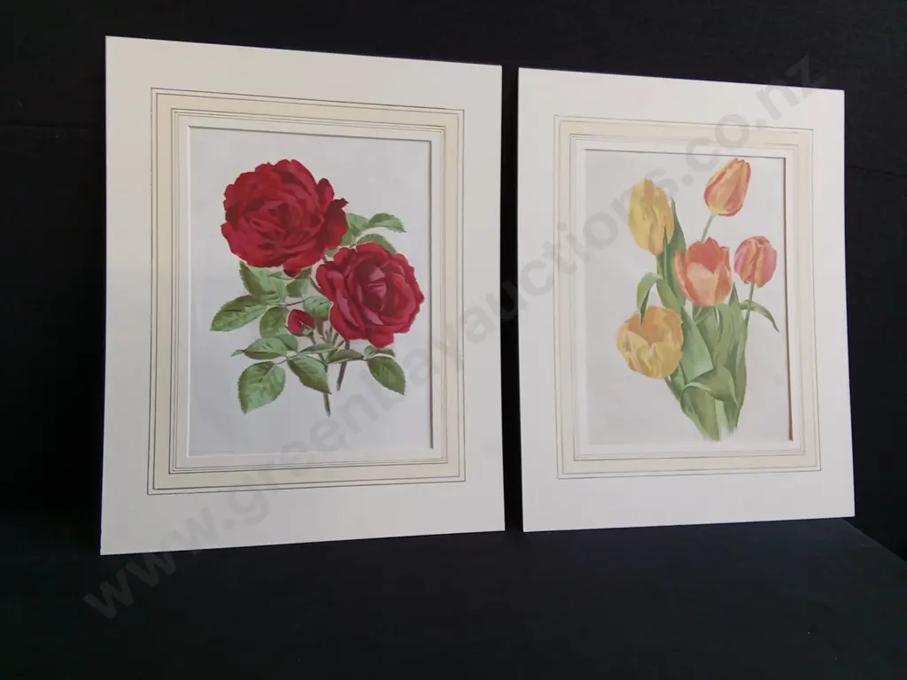 PAIR OF VINTAGE BOTANICAL PRINTS, ROSES AND TULIPS Image 1++