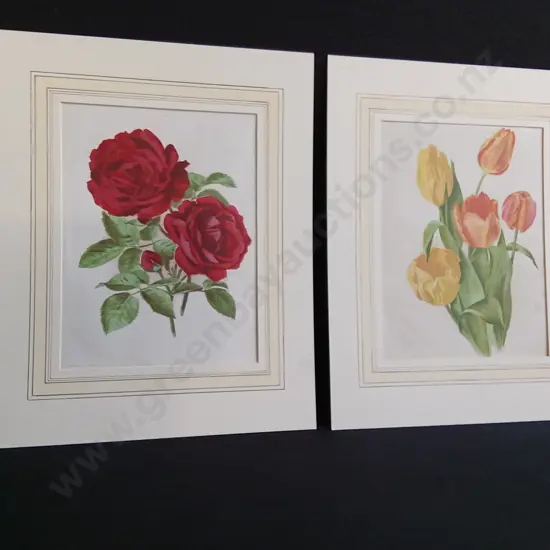 PAIR OF VINTAGE BOTANICAL PRINTS, ROSES AND TULIPS