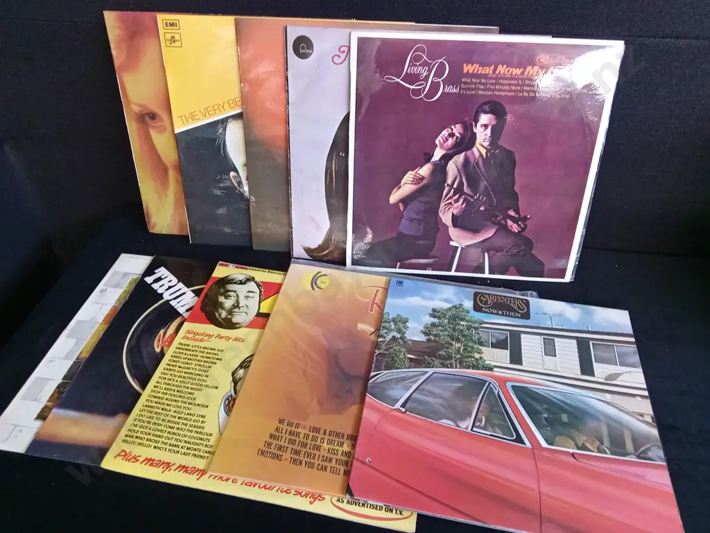 MIX OF 10 VINTAGE RECORDS Image 1++