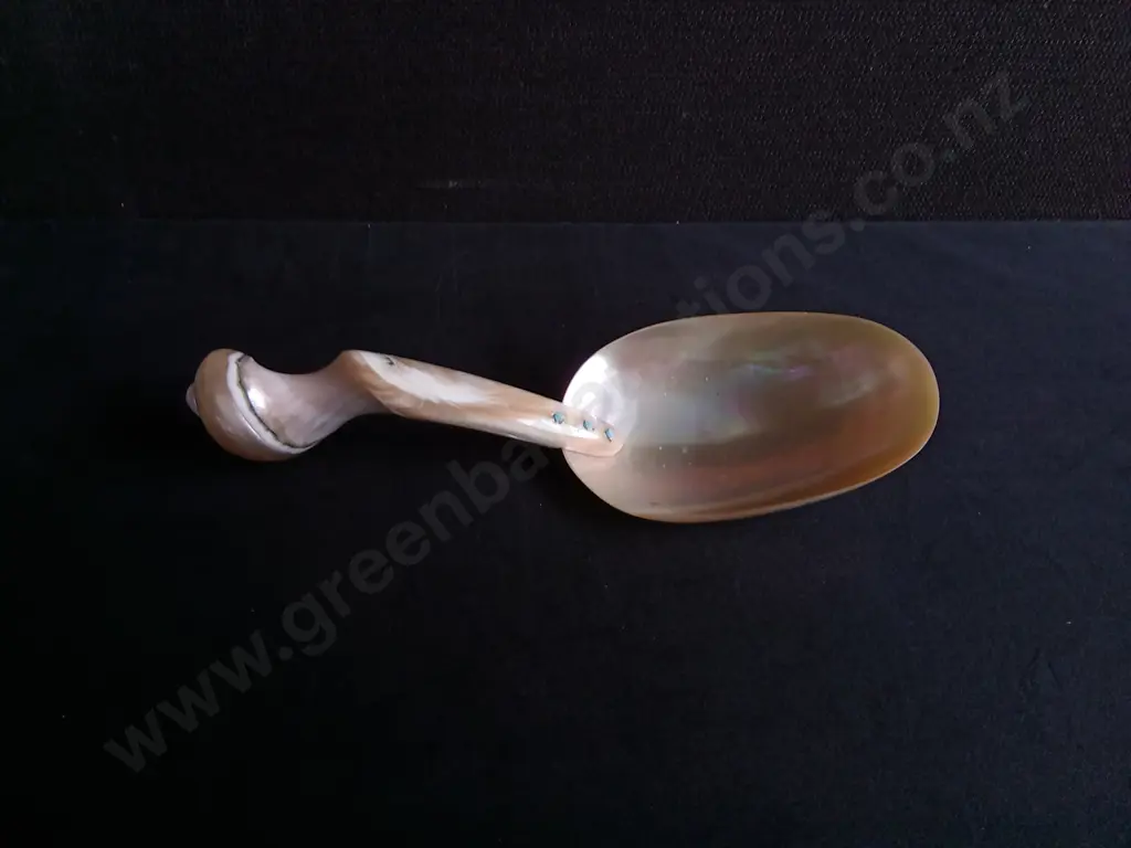 VINTAGE ARTISAN MOTHER OF PEARL CAVIAR SPOON Image 1++