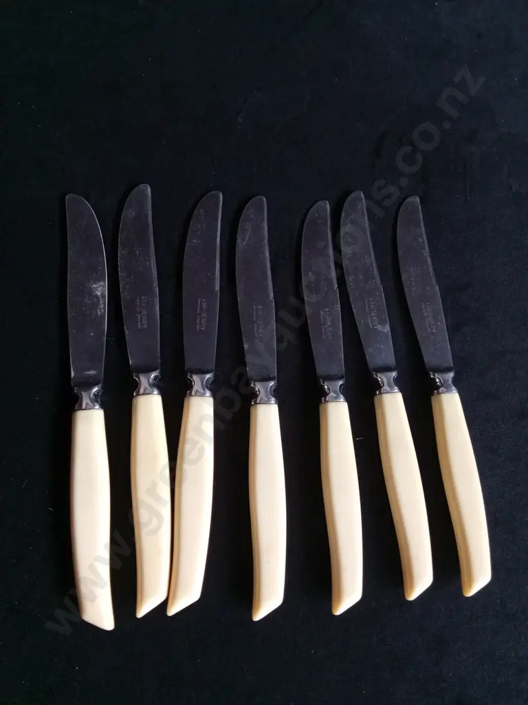 7 ASHBERRY STAINLESS KNIVES Image 1++