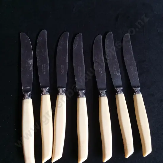 7 ASHBERRY STAINLESS KNIVES