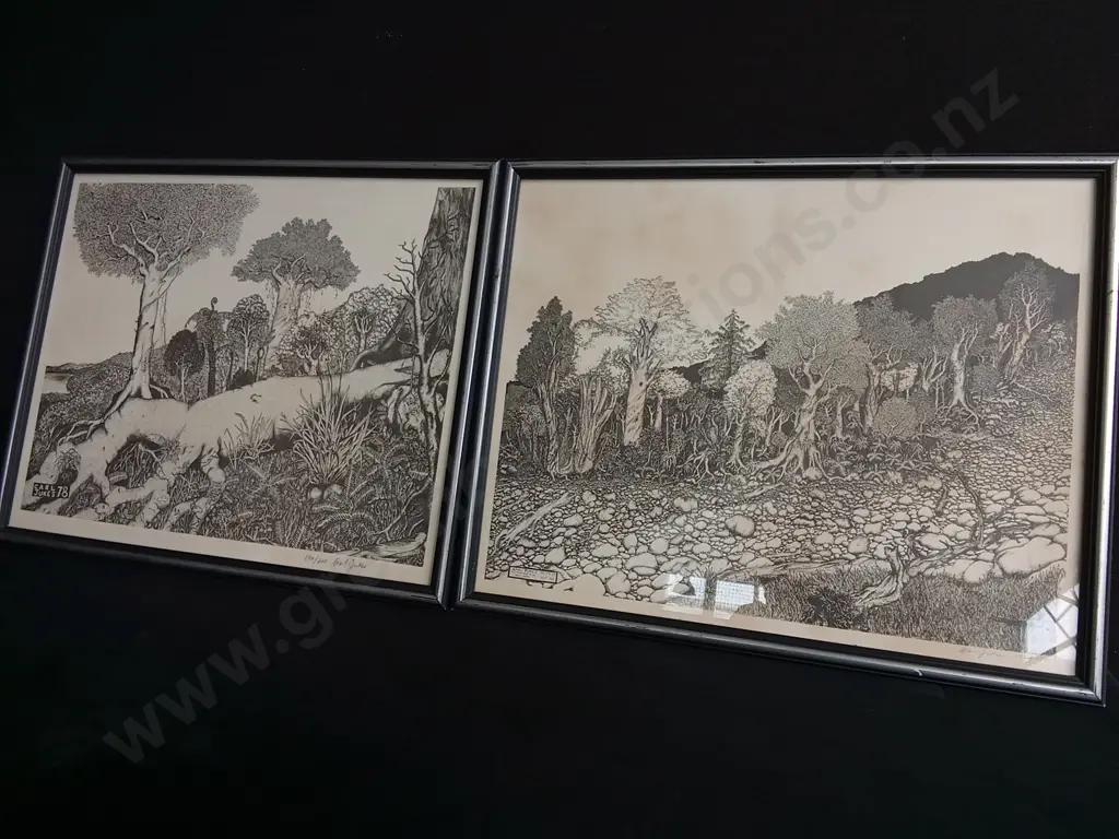 PAIR OF REI HAMON STYLE NZ LANDSCAPE PRINTS, FRAMED Image 1++