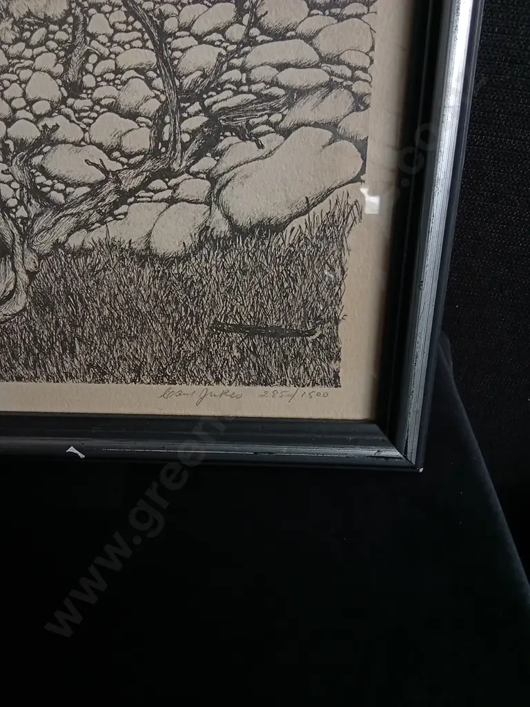 PAIR OF REI HAMON STYLE NZ LANDSCAPE PRINTS, FRAMED Image 1++