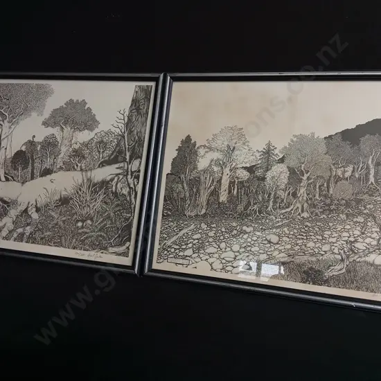 PAIR OF REI HAMON STYLE NZ LANDSCAPE PRINTS, FRAMED