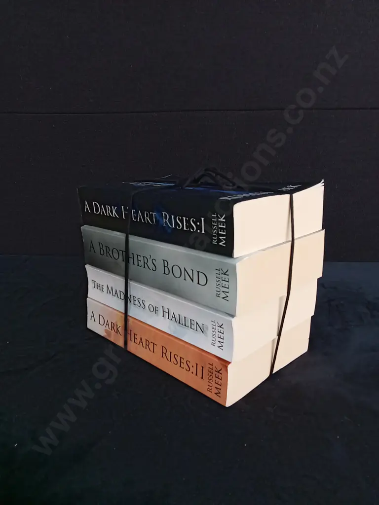4 BOOKS FROM THE KHALADA STONE SERIES Image 1++