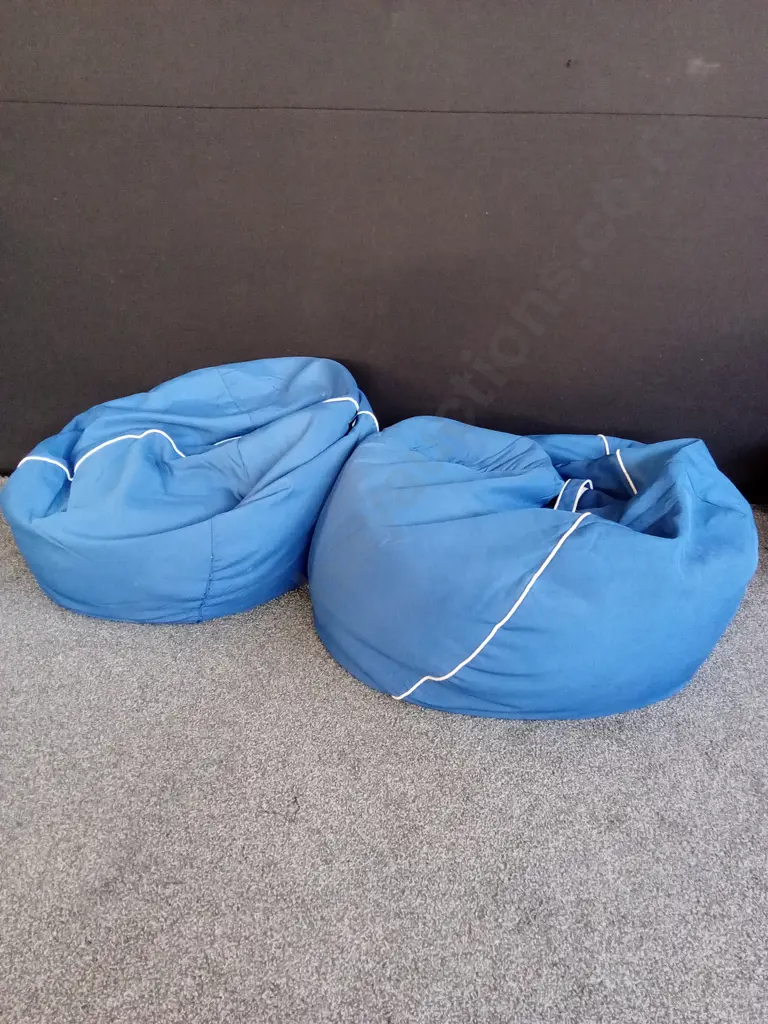 2 OUTDOOR BLUE BEANBAGS Image 1++