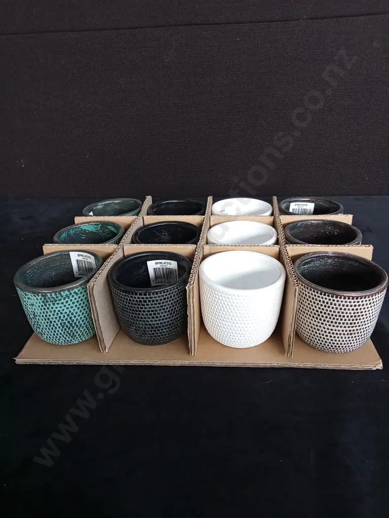 12 MINI PLANT POTS Image 1++